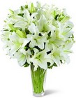 The FTD Spirited Grace Lily Bouquet from Parkway Florist in Pittsburgh PA